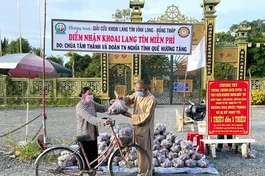 Thượng tọa Thích Thiện Quý trực tiếp đến tận ruộng mua hơn 120 tấn khoai lang về tặng đến bà con