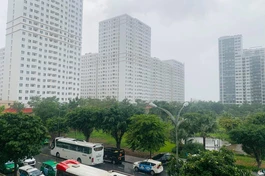 Sài Gòn chiều nay mưa rồi. Những chiếc xe không còn hối hả, những tán cây xôn xao đón giọt mưa rào