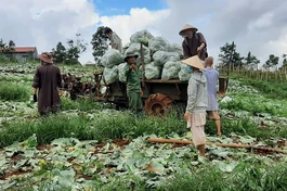 Chư Tăng và Phật tử chung tay góp phần sớm đẩy lùi dịch bệnh Covid-19