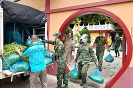 Chùa Viên Giác được sự hỗ trợ của lực lượng bộ đội giúp vận chuyển rau quả cúng dường