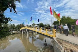 Cầy cầu Tường Nguyên 405 được đưa vào sử dụng trước Tết Nguyên đán - Ảnh: TN