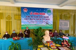 Quang cảnh buổi lễ - Ảnh: Đức Thịnh