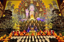 Trang nghiêm lễ kỳ an hội tại chùa Viên Giác