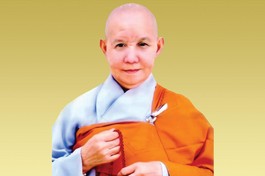 Long An: Ni trưởng Thích nữ Như Vân, Chứng minh Phân ban Ni giới tỉnh viên tịch