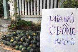 Dưa hấu được đem về tặng miễn phí đến bà con có nhu cầu