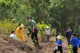 Trồng cây trên đất chùa Phước Vân