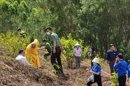 Trồng cây trên đất chùa Phước Vân