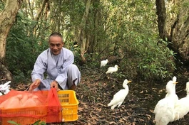 Trung ương GHPGVN kêu gọi truyền thông bảo vệ động vật hoang dã và đa dạng sinh học