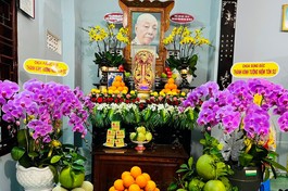 Di ảnh cố Ni trưởng Thích Đàm Tuệ