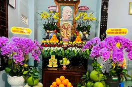 Di ảnh cố Ni trưởng Thích Đàm Tuệ