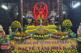 Trang nghiêm lễ đài Phật đản tại chánh điện chùa Pháp Võ, huyện Nhà Bè