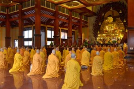 Chư tôn đức Tăng thành viên Ban Trị sự GHPGVN TP.HCM, các ban trực thuộc, Ban Trị sự Phật giáo TP.Thủ Đức và 21 Ban Trị sự GHPGVN quận, huyện đảnh lễ Tam bảo 