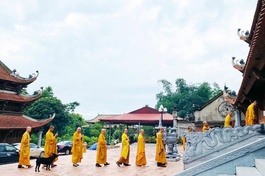 Trường hạ tổ đình Quỳnh Lâm khai pháp khóa An cư kết hạ Phật lịch 2566