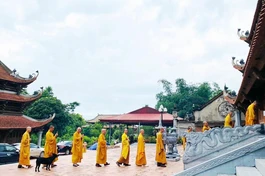 Trường hạ tổ đình Quỳnh Lâm khai pháp khóa An cư kết hạ Phật lịch 2566