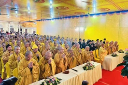 Chư tôn đức Trung ương Giáo hội, Ban Trị sự Phật giáo tỉnh Ninh Bình, môn sơn pháp phái thành kính đảnh lễ Giác linh Đại lão Hòa thượng Thích Thanh Đàm