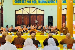 Chư tôn đức đóng góp ý kiến nhằm tổ chức Đại giới đàn Trí Độ và Đại lễ Phật đản trang nghiêm