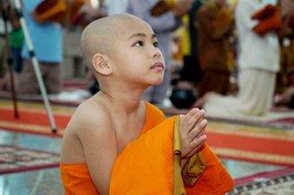 Một Phật tử nhỏ tuổi tham gia khóa xuất gia gieo duyên tại thiền viện Phước Sơn