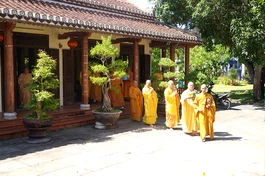 Chư thỉnh chư tôn đức quang lâm đạo tràng tu học