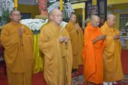 Phái đoàn Ban Trị sự GHPGVN TP.Cần Thơ do Hòa thượng Đào Như, Phó Chủ tịch Hội đồng Trị sự, Trưởng ban Trị sự TP.Cần Thơ dẫn đầu viếng tang Trưởng lão Hòa thượng Phó Pháp chủ