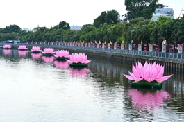 7 đóa sen hồng được hạ thủy trên dòng kênh Nhiêu Lộc, chuẩn bị lễ thắp sáng vào tối ngày 8-4-Giáp Thìn