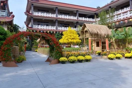 Không gian đón mừng Xuân Ất Tỵ vào chiều 28 Tết tại chùa Phổ Quang 