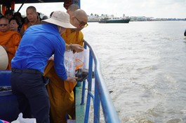 Thượng tọa Thích Quảng Lộc cùng chư tôn đức thả cá xuống sông Tiền