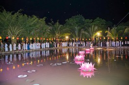 Thiết trí 7 đóa hoa sen trên hồ Tĩnh Lặng trong khuôn viên chùa Bửu Thọ cúng dường Phật đản