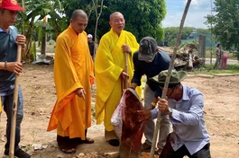 Đồng Nai: Chùa Bửu Lâm trồng 150 cây xanh lan tỏa thông điệp Vì môi trường xanh