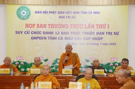 Ban Thường trực Ban Trị sự tỉnh cử chức danh các ban chuyên môn trực thuộc