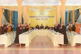 Gia Lai: Thượng tọa Thích Đồng Thành làm Hiệu trưởng Trường Trung cấp Phật học sau hợp nhất