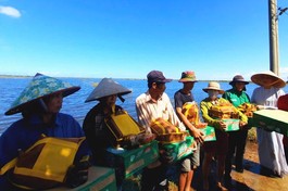 Ni trưởng Thích nữ Tâm Nguyệt, trụ trì chùa Phổ Hiền trao quà đến bà con tại xã Lìa, tỉnh Quảng Trị