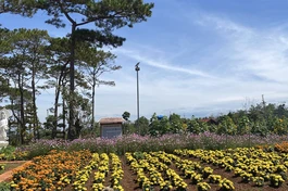 Nét đẹp mộc mạc trong khuôn viên ngôi tự viện ở miền đất Cao Nguyên