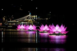 Sen hồng trên hồ Xuân Hương - Đà Lạt được thắp sáng Kính mừng Phật đản Phật lịch 2570