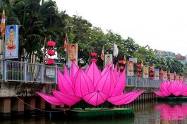 Các đóa sen sau khi lắp ghép cánh được hạ thủy trên dòng kênh Nhiêu Lộc