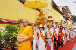 Trang nghiêm nhiễu Phật ba vòng tại lễ dâng y Kathina chùa Phổ Minh