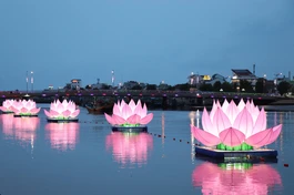 Lung linh sen hồng kính mừng Phật đản trên sông Cà Tỳ 