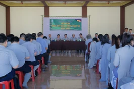 Phan ban Gia đình Phật tử TP.HCM tổng kết công tác Phật sự năm 2023 tại chùa Thiên Chánh