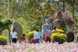 Bà con vùng Tây Nguyên đến chùa lễ Phật đầu năm