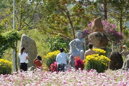 Bà con vùng Tây Nguyên đến chùa lễ Phật đầu năm