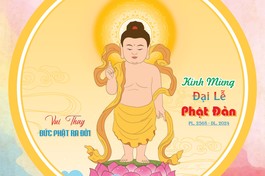  Thiết kế: Phước Toàn