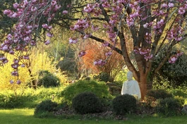 Học và ứng dụng giới luật Phật giáo trong đời sống tu tập