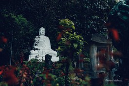 Ảnh: Phùng Anh Quốc