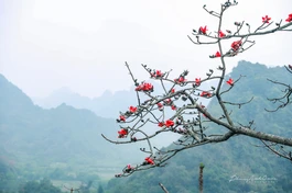 Vài suy ngẫm về bài ca "Phóng cuồng ngâm" của Tuệ Trung Thượng Sĩ