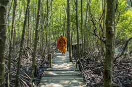 Kham nhẫn hoàn hảo