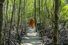 Kham nhẫn hoàn hảo