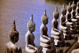 Nhất thiết chúng sinh giai hữu Phật tính