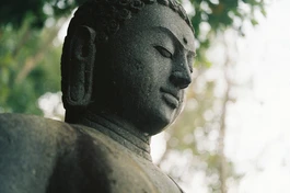 Tại sao người ta đau khổ?