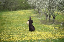 Những thứ do duyên tạo không thuộc về ai, không có ai đảm trách