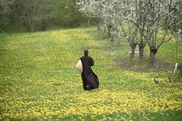 Những thứ do duyên tạo không thuộc về ai, không có ai đảm trách