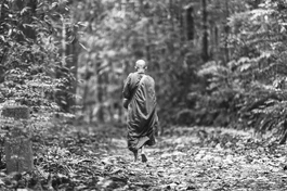 Cốt lõi của hạnh đầu-đà là xa rời quần chúng, sống độc cư nơi hoang vắng để giành thời gian cho việc tu tập, nỗ lực thực hành thiền định. 